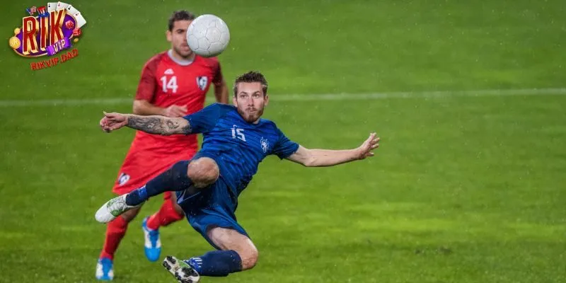 Vài thông tin giới thiệu về kèo thẻ phạt